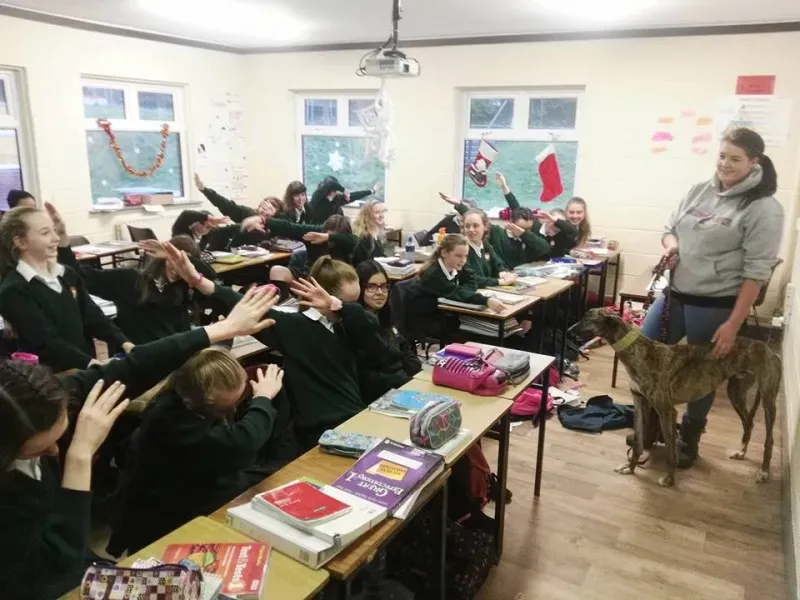 15541437 10154834775766255 4233191902015403205 n