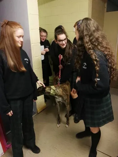 15541946 10154834776336255 4097125913369766424 n