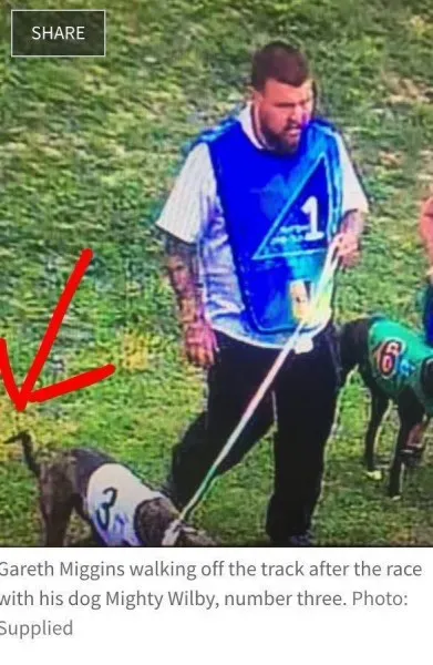 15541961 1285547741519770 3707259625361339619 n