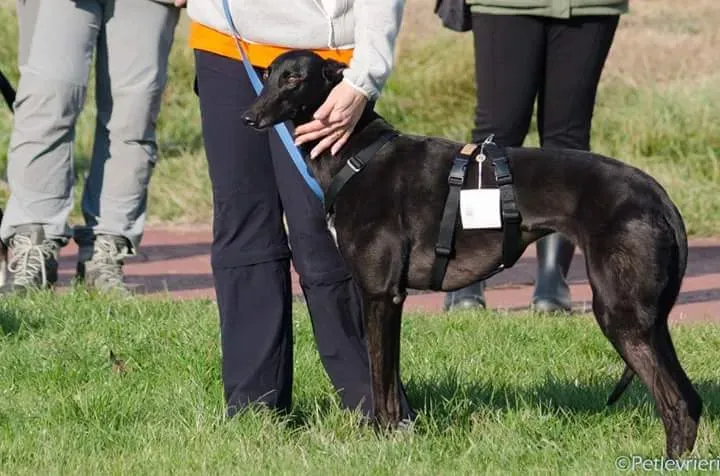 15542288 1207568129327040 4897207381187378673 n