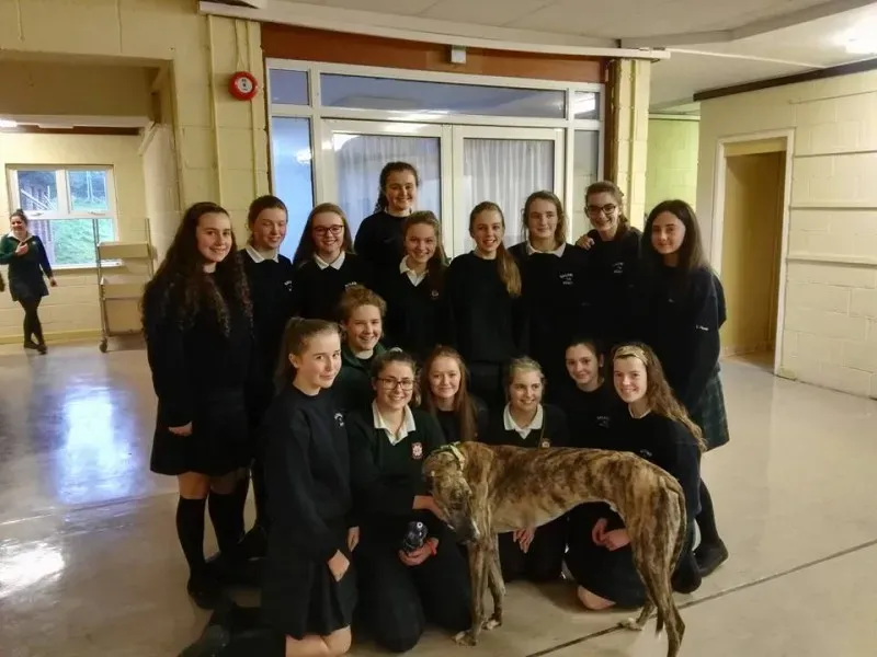 15542404 10154834776036255 4097151539157940747 n