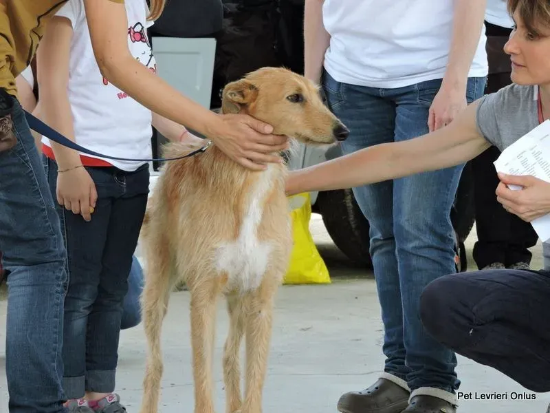 1554610 835088913241632 6620748277524043043 n