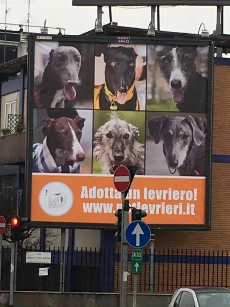 15554651 10154820534056563 1280532832 n