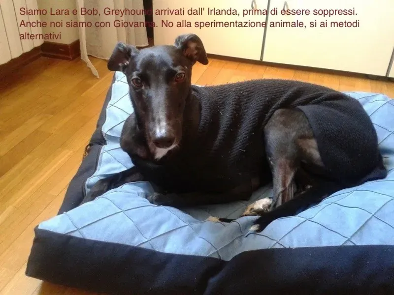 1555545 192661637606993 205885442 n