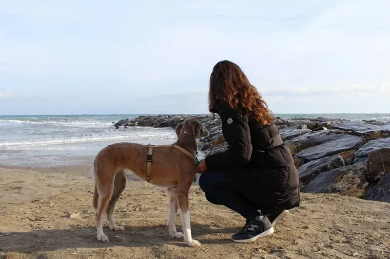 1557680 10208781031633468 2399394849901152867 n