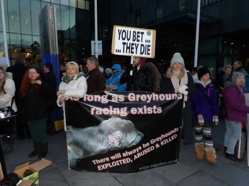 1557683 550563418385131 1788926541 n