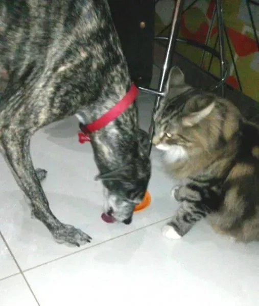 1557709 985356128214909 791888468718064034 n