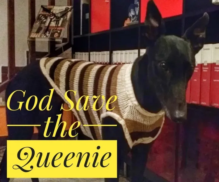 15578137 1544371655579686 5311346697858169153 o