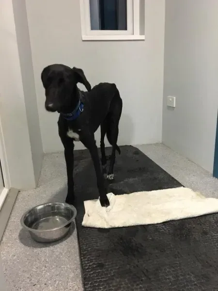 15578924 1474223635928664 2332307882586470990 n