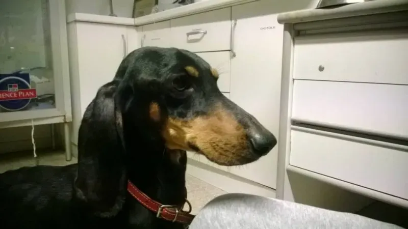 1558521 10202960280470434 2038486100 n