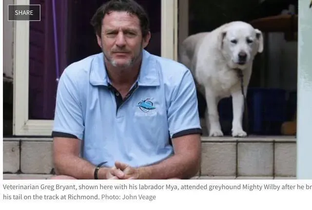 15589637 1285547821519762 2586546010029898271 n