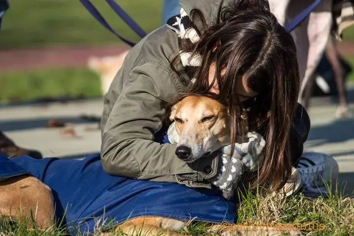 15590041 10210099814190791 3575201926949063138 n