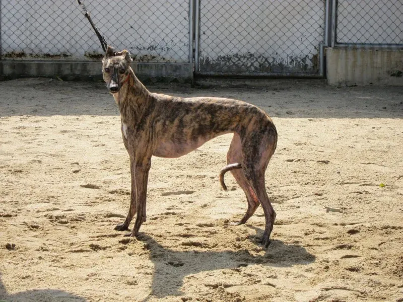 15590860 1213923752024811 4472722085492127702 o