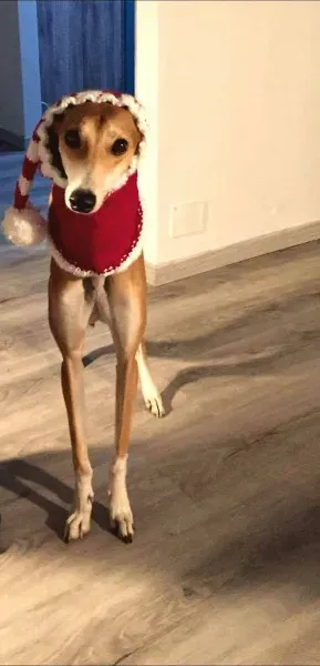 15591506 358099104562261 8080813098079228548 o