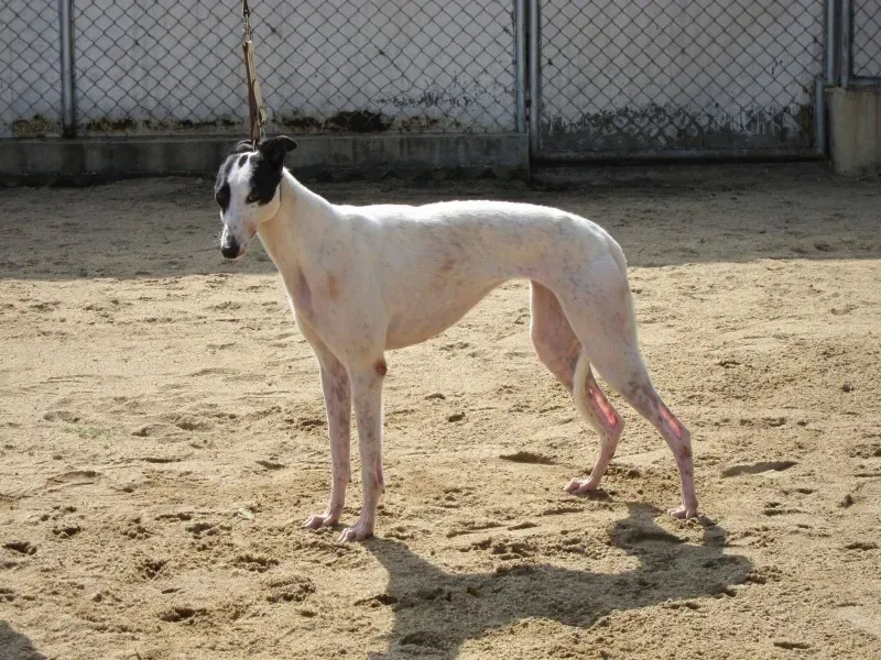 15591516 1213923325358187 3193615884782328948 o