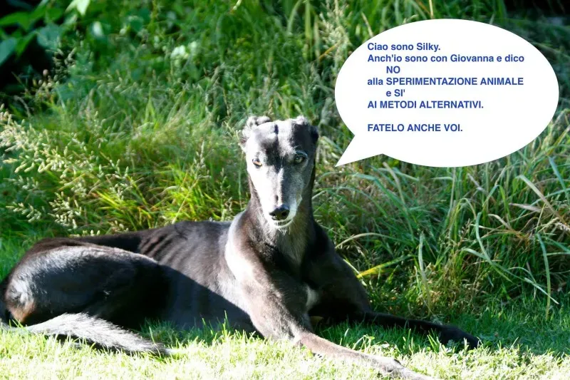 1559539 569842933099566 1435685780 o