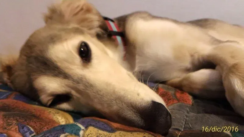 15595824 724427577712509 2025307445 o