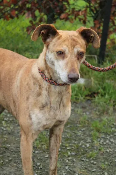 156030 760184400732084 1143142128216425952 n