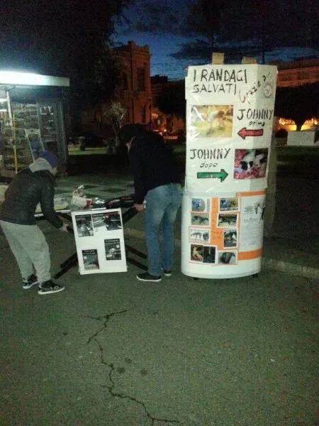 1560377 10202446082105783 1298456841 n