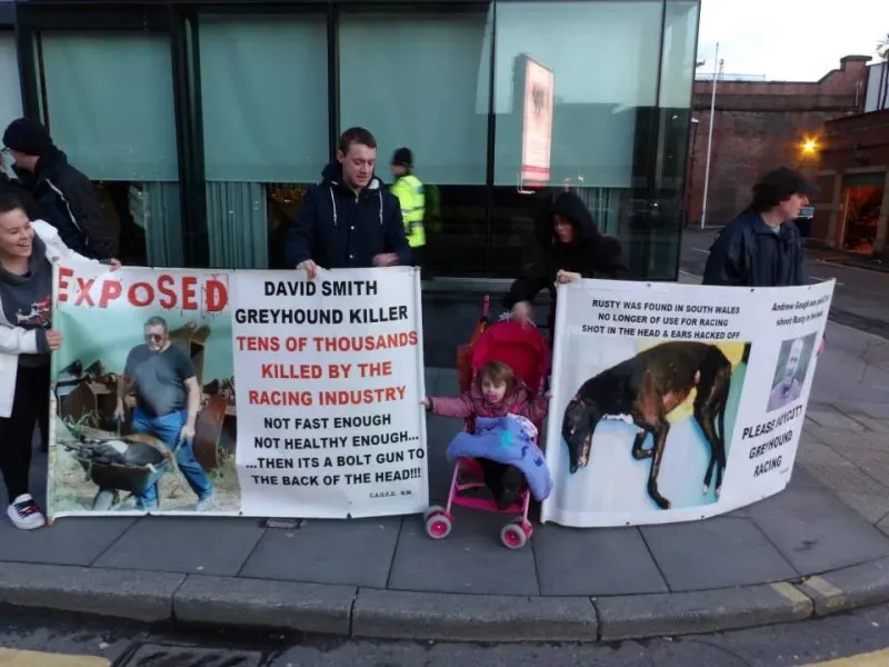 1560467 550567585051381 866647279 n