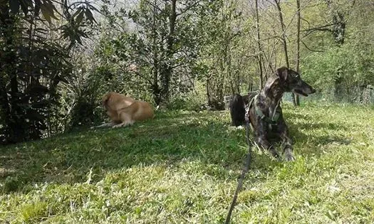 1560536 10202892025413001 5994396155232619428 n