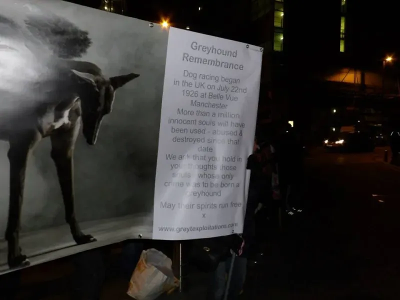 1560553 550573725050767 1487458088 n