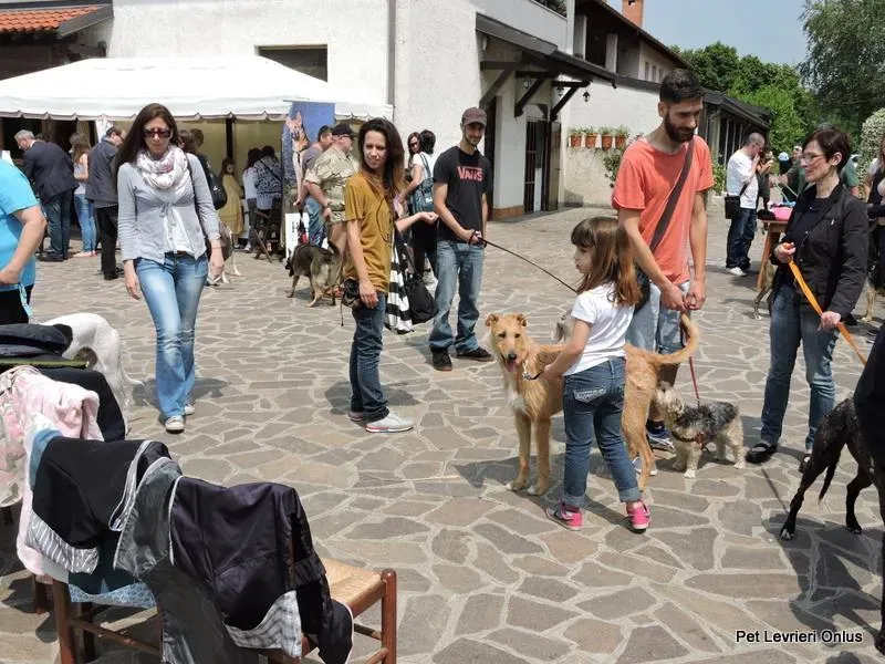 1560592 835090446574812 4409745034760196624 n