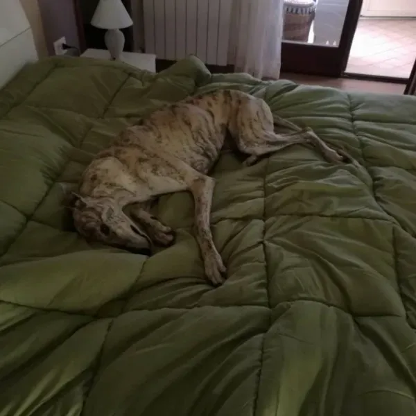 15621604 357794657926039 5734461969972729488 n