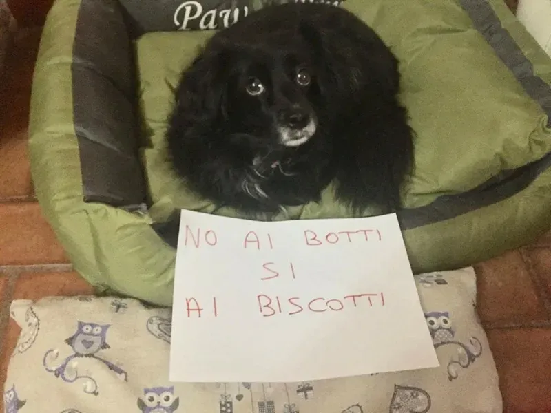 15621657 362452450793593 944454032657723360 n 1