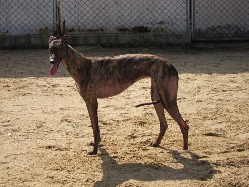 15626391 1213923312024855 7436949673056019867 o