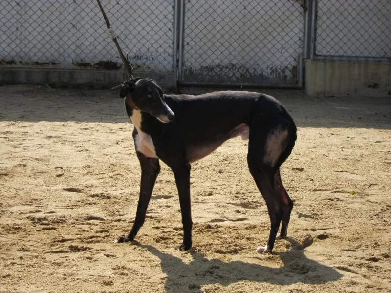 15626538 1213923302024856 5869343541471514789 o 1