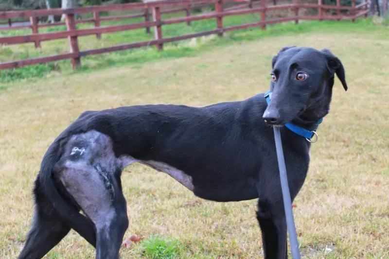 15626573 1478000988884262 8184804797421065083 o