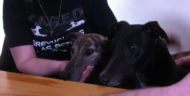 15676364 1215308438545037 9092074472923783300 o