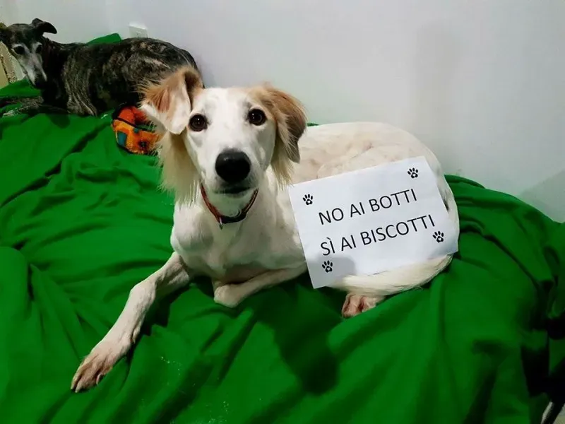 15697241 362720754100096 7745042109356331457 n