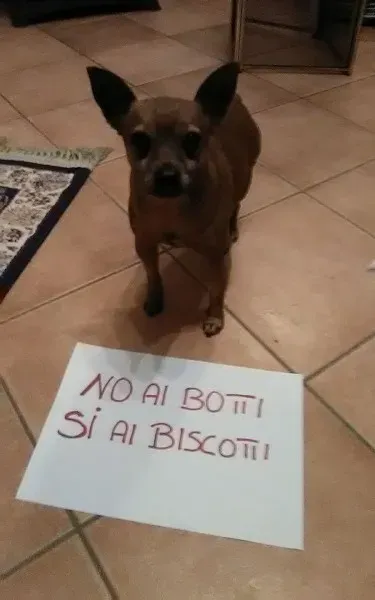 15723744 362725037433001 3110567042516236980 o