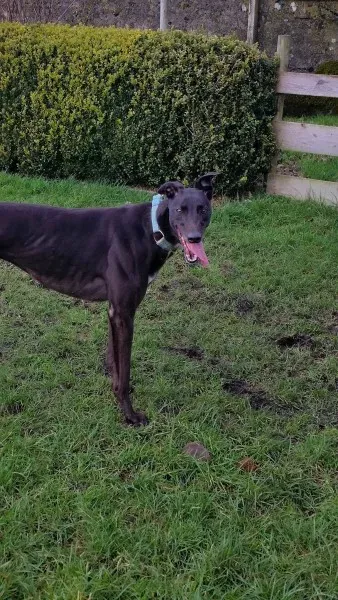 15725216 10211622640431230 1196732786 o