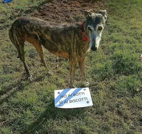 15727195 362725797432925 8571786274719945460 n 1