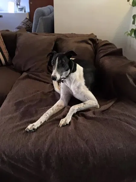 15747421 1235354553215064 1498206320689955297 n