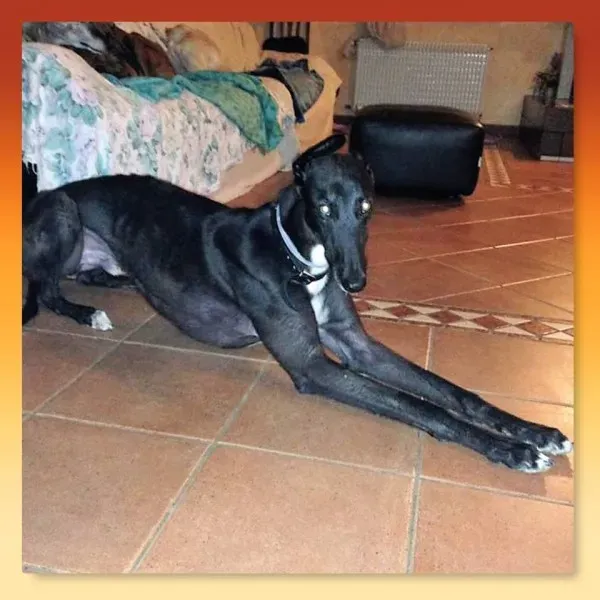 15747439 364433077262197 7904246828481424346 n