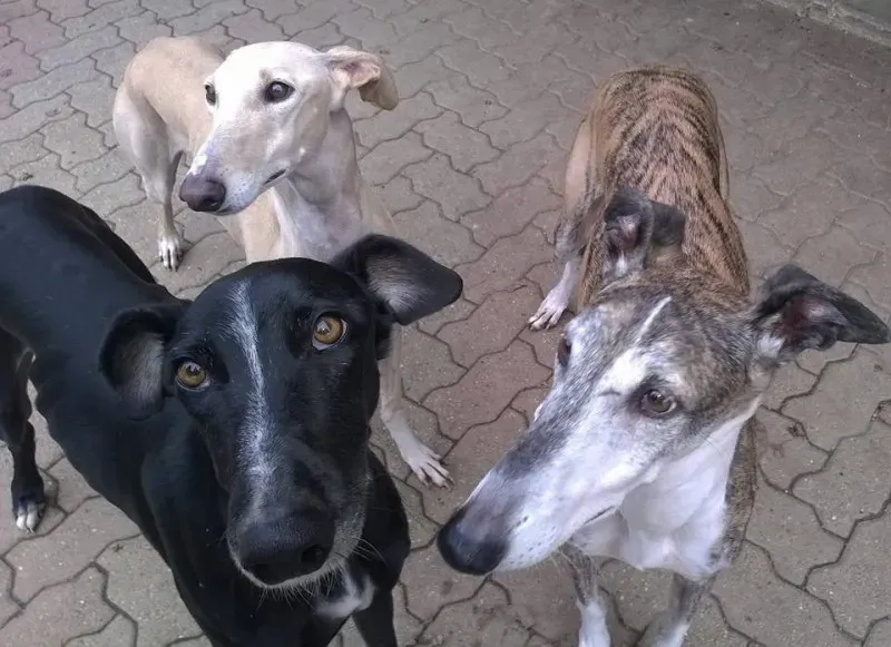 15747698 364849810553857 137113158251730308 n