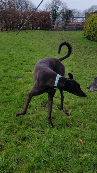 15748029 10211622641471256 1439490894 o