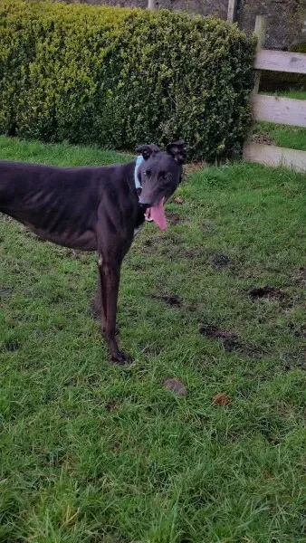 15748066 10211622640111222 815704029 o