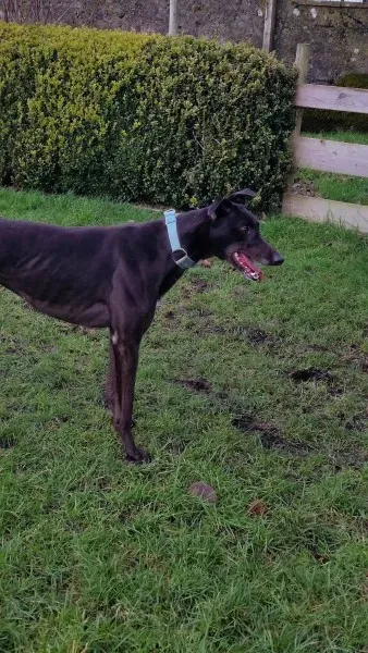 15748727 10211622640151223 1521996894 o