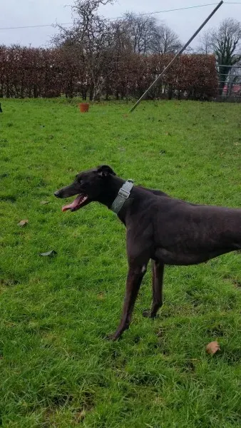 15776596 10211622641511257 1397187784 o