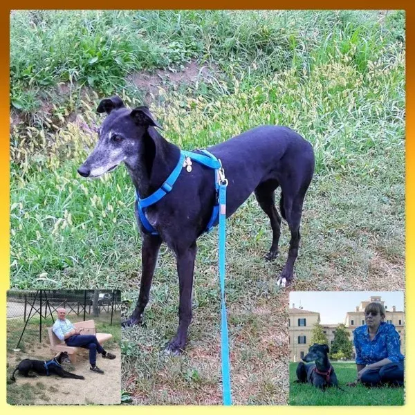 15781277 365426220496216 80681755481264133 n