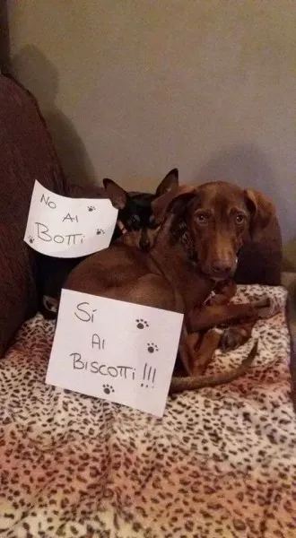 15781629 362719947433510 3949102909680879912 n