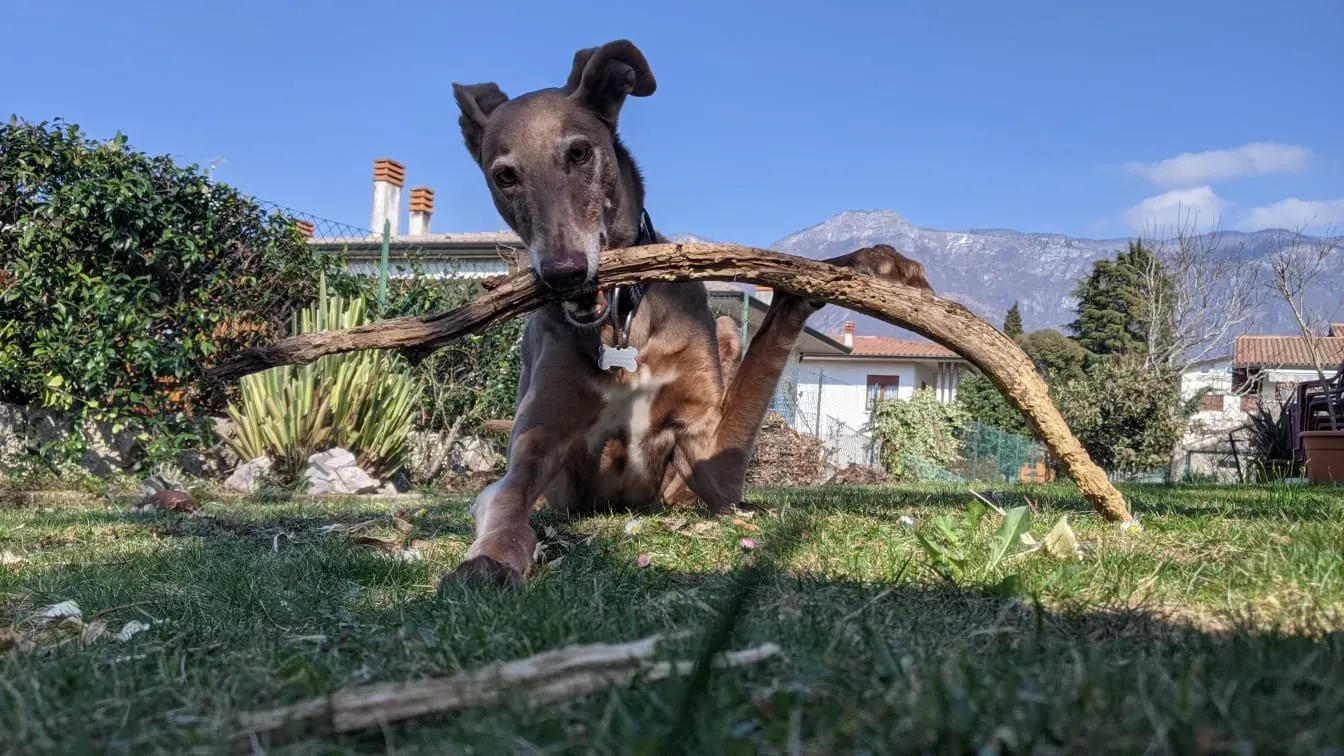 157884034 10158137038497475 3214881061422986566 n