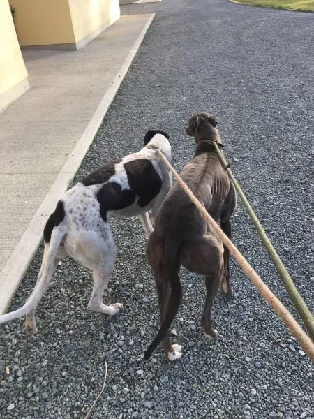 15817830 236136923508627 1641546422 o