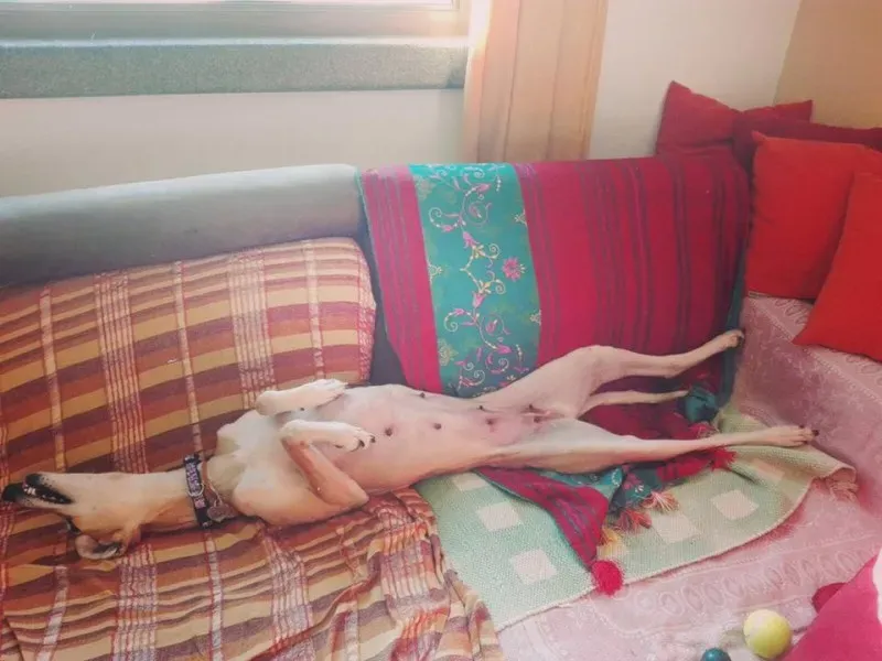 15822769 1250108788414055 6285098190969659416 n