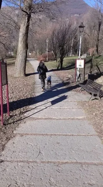 15823025 1181933108542004 6636810154555026241 n